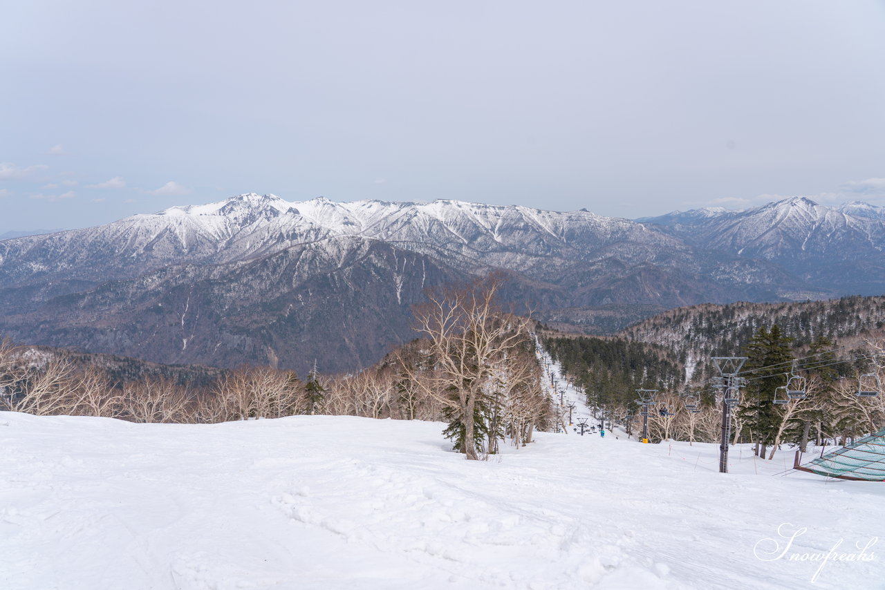 大雪山層雲峡・黒岳ロープウェイスキー場　本日の積雪 310cm。神々の遊ぶ庭でのんびり春スキー＆スノーボードを楽しみましょう♪